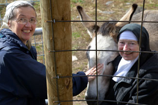 meeting animals