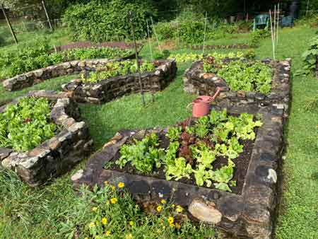 Raised Beds Garden