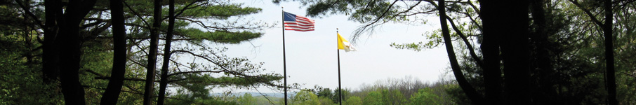 flags